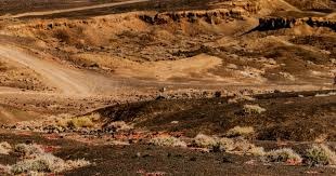 西甲：皇马主场4-2战胜皇家贝蒂斯